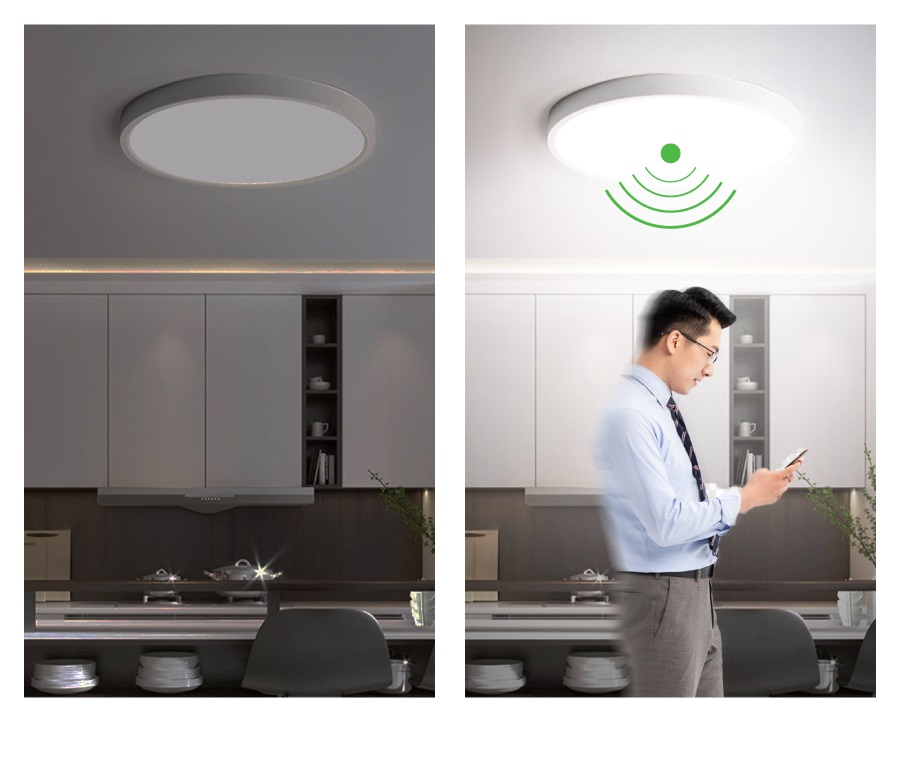 Cảm biến hiện diện chiếu sáng